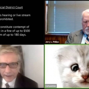 ‘I’m here live, I am not a cat’ - Lawyer tells judge after appearing with cat filter