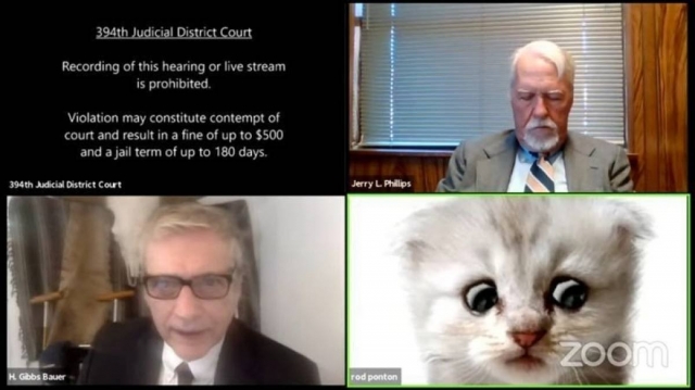 ‘I’m here live, I am not a cat’ - Lawyer tells judge after appearing with cat filter